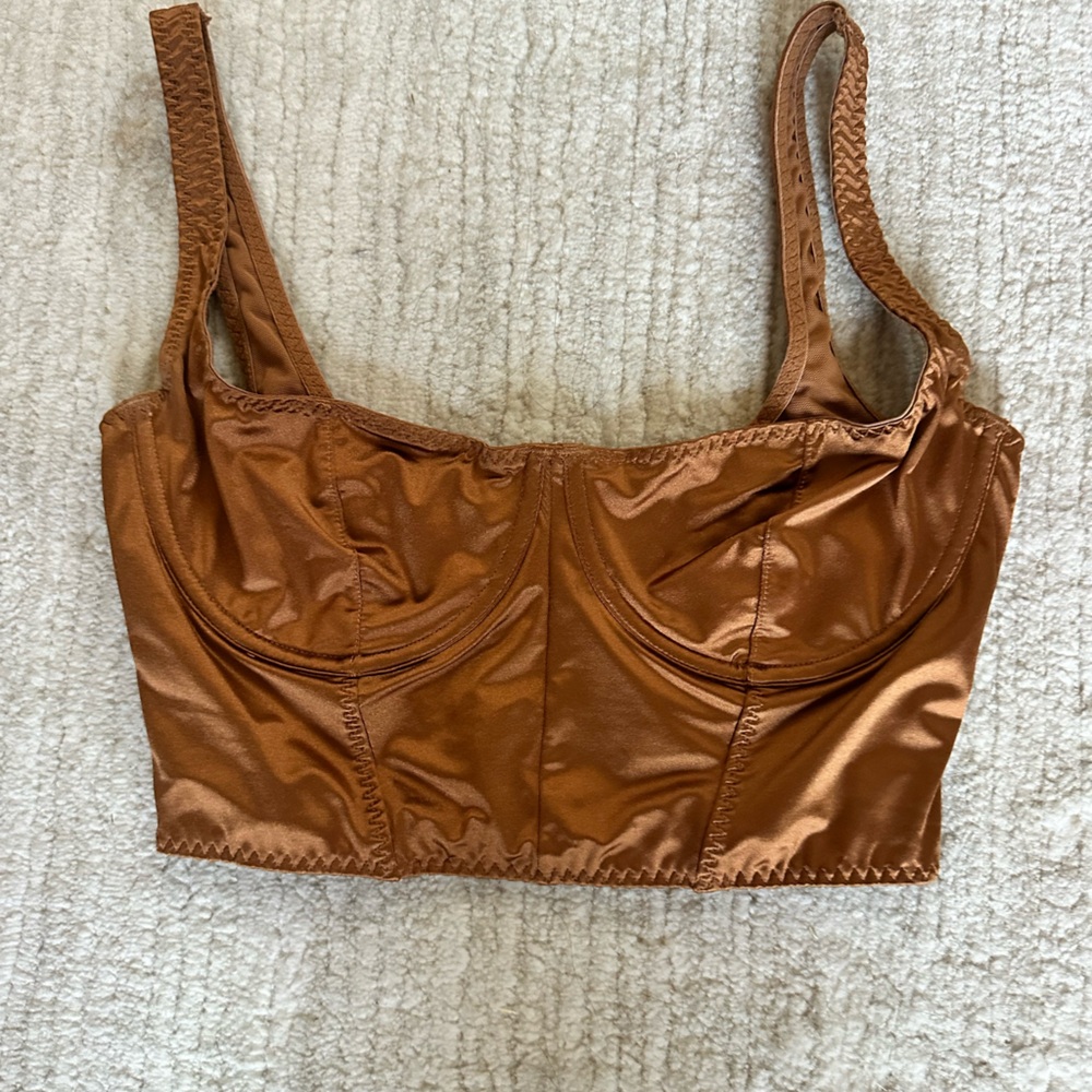 Shiny Brown Bustier Top
